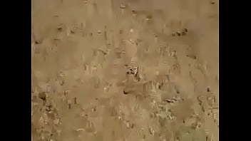 Desi Bhabhi Sucks Cock And Gets Pounded Doggystyle On A Motorbike