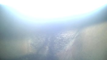 The Ultimate Shonu Experience: Your Complete Desi Indian Wife Fantasy Package