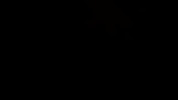 The Pleasure Of Fucking A Desi Bhabhi